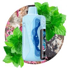 ELFBAR LUSH KING 40000 Mountain Mint