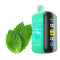 Elf Bar RAYA D3 25000 Alpine mint (Альпійська мʼята) 