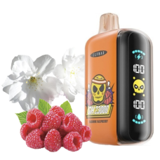ELF BAR GH 23000 Jasmine Raspberry (Жасмин малина)