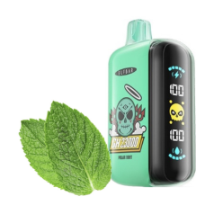 ELF BAR GH 23000 Polar Mint (Полярна мʼята)