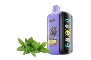 ELF BAR GH 23000 Purple Mint (Фіолетова мʼята)