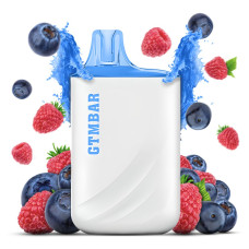 GTMBAR Porter 5000 5% Blueberry Raspberry (Чорниця Малина) Original