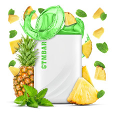 GTMBAR Porter 5000 5% Pineapple Mint (Ананас М'ята) Original