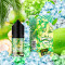 Рідина In Bottle Salt 30 мл (50 мг) Coconut pandan (Кокос Пандан)