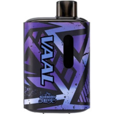 VAAL E5000 5% Blueberry Ice (Крижана Чорниця) Original